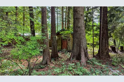 256 Windsor Drive, Point Roberts, WA 98281 - Photo 24