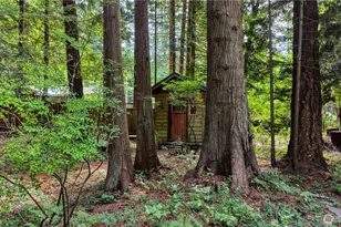 256 Windsor Dr, Point Roberts, WA 98281 - Photo 24