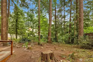 8558 Golden Valley Dr, Maple Falls, WA 98266 - Photo 6