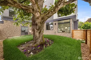 7009 9th Ave NE, Seattle, WA 98115 - Photo 24