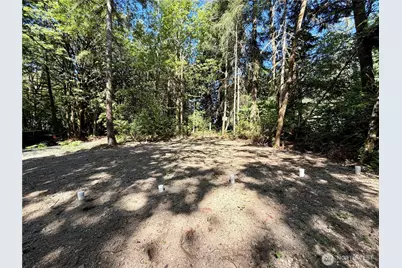 0 Lot 2 E Emily Lane, Shelton, WA 99584 - Photo 8