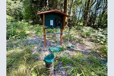 0 Lot 2 E Emily Lane, Shelton, WA 99584 - Photo 4