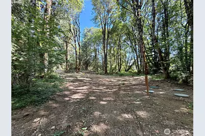 0 Lot 2 E Emily Lane, Shelton, WA 99584 - Photo 6