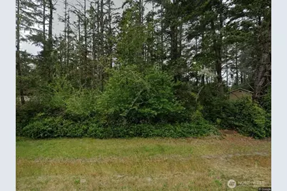 1011 SE Discovery Avenue, Ocean Shores, WA 98569 - Photo 1