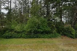 1011 SE Discovery Ave, Ocean Shores, WA 98569 - Photo 1