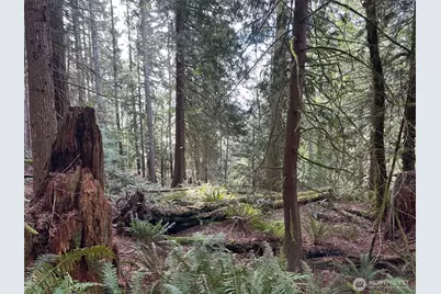 3692 E State Route 106, Union, WA 98592 - Photo 26