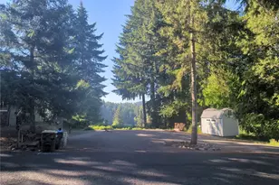152 Lakeview Dr, Mossyrock, WA 98564 - Photo 1