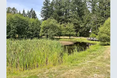 38519 Eatonville Cut Off Road E, Eatonville, WA 98328 - Photo 8