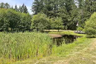 38519 Eatonville Cutoff Rd E, Eatonville, WA 98328 - Photo 8