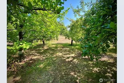 22709 NE 123rd Circle, Brush Prairie, WA 98606 - Photo 32