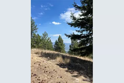 20 Doe Mountain Road, Tonasket, WA 98855 - Photo 14