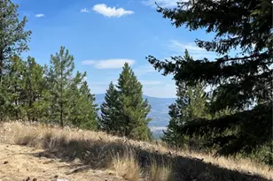 20 Doe Mountain Rd, Tonasket, WA 98855 - Photo 14