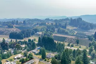 137 Damron Rd, Mossyrock, WA 98564 - Photo 8