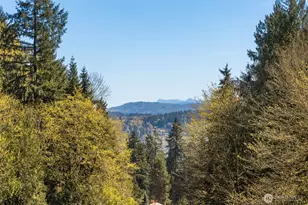 243 169th Ave NE, Bellevue, WA 98008 - Photo 8