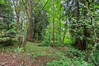 3133 78th Avenue SE, Olympia, WA 98501 - Photo 30