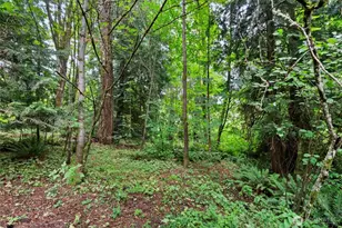 3133 78th Ave SE, Olympia, WA 98501 - Photo 30