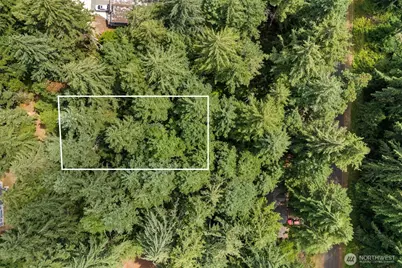 10512 Matthew, Anderson Island, WA 98303 - Photo 1