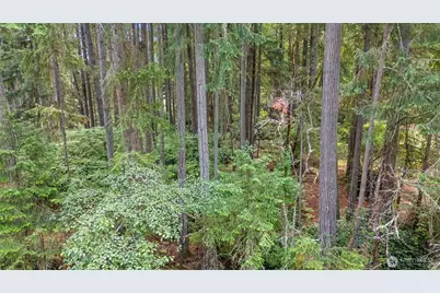 10512 Matthew, Anderson Island, WA 98303 - Photo 14
