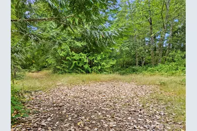 0 Rouse Road SW, Longbranch, WA 98351 - Photo 10