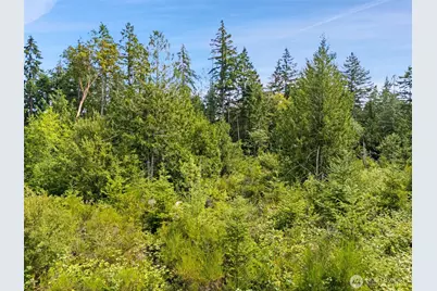 0 Rouse Road SW, Longbranch, WA 98351 - Photo 8