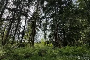 11106 Spruce Dr, Anderson Island, WA 98303 - Photo 1