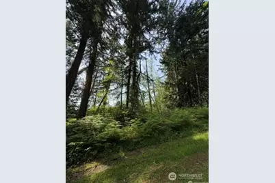 11106 Spruce Dr, Anderson Island, WA 98303 - Photo 2