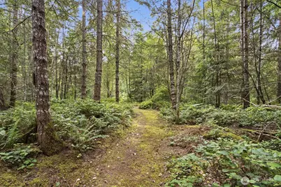 114 Headwaters Lane, Port Angeles, WA 98362 - Photo 40