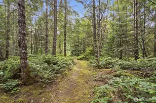 114 Headwaters Ln, Port Angeles, WA 98362 - Photo 40