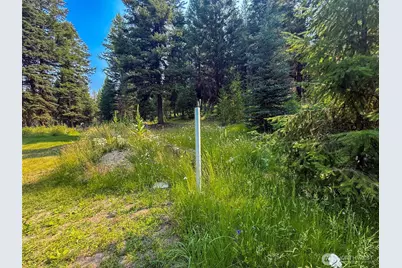 259 B S Fs 33100 Mt Anne R, Wauconda, WA 98859 - Photo 36