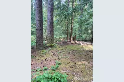 41 N Kitsap Place S, Hoodsport, WA 98548 - Photo 4