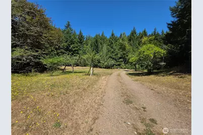 371 Green Mt Lane, Brinnon, WA 98320 - Photo 12