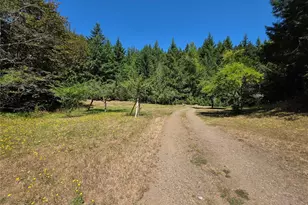 371 Green Mt Ln, Brinnon, WA 98320 - Photo 12