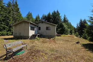 371 Green Mt Ln, Brinnon, WA 98320 - Photo 4