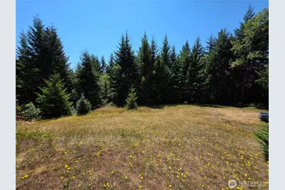 371 Green Mt Lane, Brinnon, WA 98320 - Photo 10