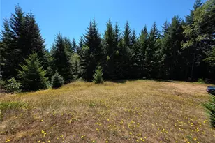 371 Green Mt Ln, Brinnon, WA 98320 - Photo 10