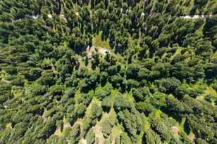 84 Three Seasons Rd, Winthrop, WA 98862 - Photo 18