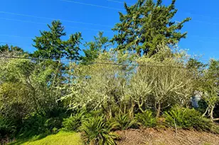 375 Dolphin Ave NE, Ocean Shores, WA 98569 - Photo 1
