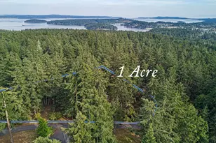 28 Channel Heights Way, Friday Harbor, WA 98250 - Photo 36
