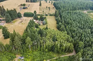 341 Frogner Rd, Adna, WA 98532 - Photo 30