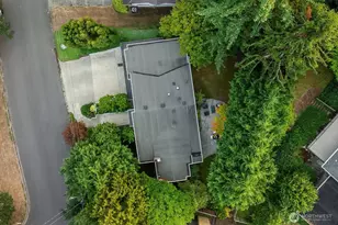 909 110th Ave SE, Bellevue, WA 98004 - Photo 30