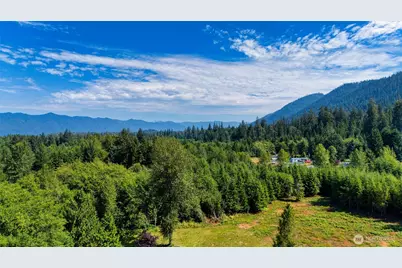 39 Neilton Lane, Humptulips, WA 98552 - Photo 34