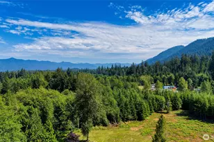 39 Neilton Ln, Humptulips, WA 98552 - Photo 34