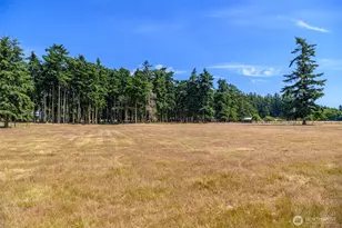 347 Jacobs Rd, Coupeville, WA 98239 - Photo 34