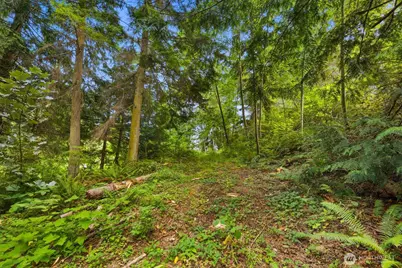 2689 SE Camano Drive, Camano Island, WA 98282 - Photo 10