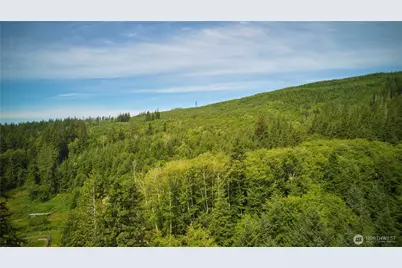 540 Nichols Road, Clallam Bay, WA 98326 - Photo 16