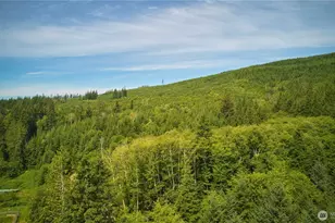 540 Nichols Rd, Clallam Bay, WA 98326 - Photo 16