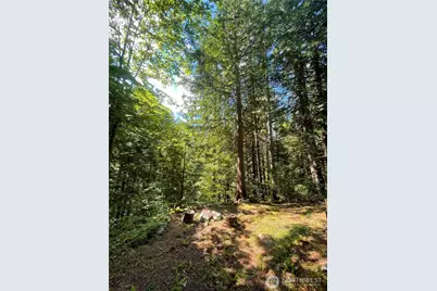 8001 Acorn Lane #D1-162, Marblemount, WA 98267 - Photo 30