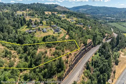 244 Risley Road, Kelso, WA 98626 - Photo 38