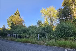 236 Porter Creek Rd, Elma, WA 98541 - Photo 1