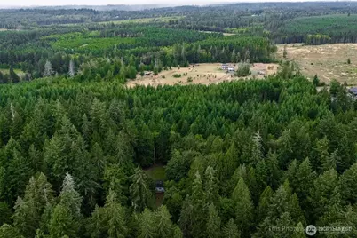 730 SE Totten Shores Drive, Shelton, WA 98584 - Photo 24